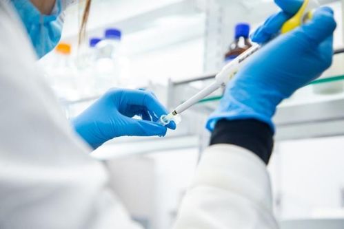 華熙生物趙燕 堅定的做好兩個研究,筑牢企業(yè)科技創(chuàng)新根基