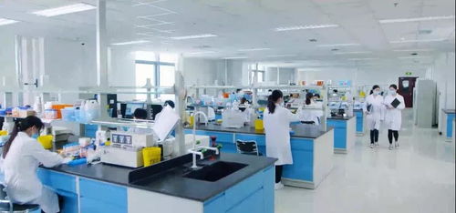 350余家企業(yè)獲補貼約10億元 點贊北京經(jīng)開區(qū)這波惠企政策紅利