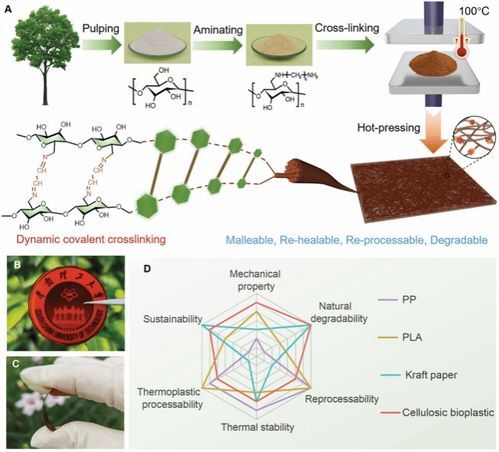 陳朝吉教授課題組在chemical reviews advanced materials等國際高水平期刊發表生物質基低碳功能材料及綠色儲能材料系列研究成果