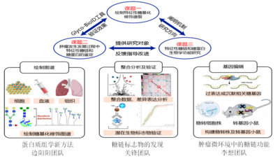 我校5人獲省杰青項目資助、4支團隊入選省重點科技創新團隊