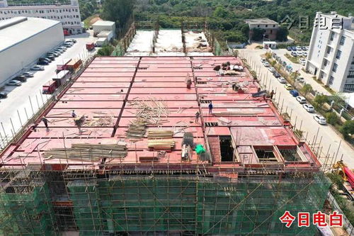 電白這些重點(diǎn)項(xiàng)目全速建設(shè)中