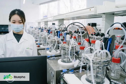 藍晶微生物獲15億元B輪系列融資，元生資本與混改基金領投，加速生物基材料研發