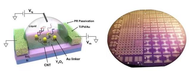 生物基材料技術(shù)研發(fā)新突破 張志勇教授團(tuán)隊(duì)受邀在國(guó)際電子器件大會(huì)作會(huì)議報(bào)告