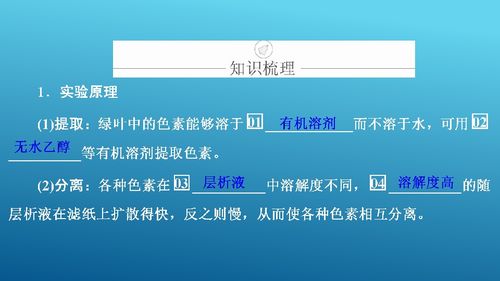 光與光合作用 從生命基礎(chǔ)到生物基材料技術(shù)研發(fā)的橋梁